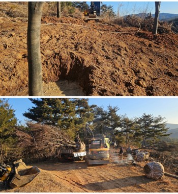 신년 해돋이대신 맑은 공기 마시고 왔습니다